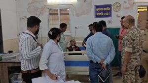 CG News : आंगनबाड़ी केंद्र जा रहे बच्चों पर मधुमक्खियों का हमला, 4 बच्चे घायल, अस्पताल पहुंचे SDM